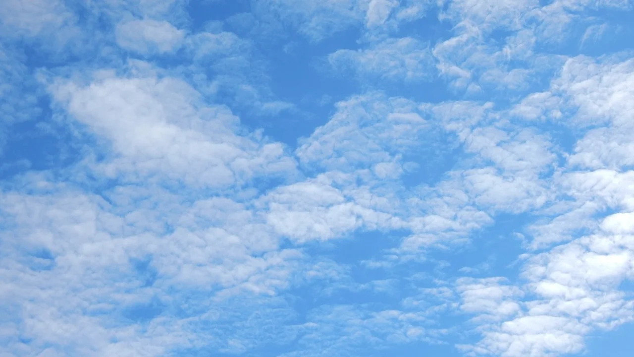 Two mint chocolate milkshakes with whipped cream and green sprinkles.